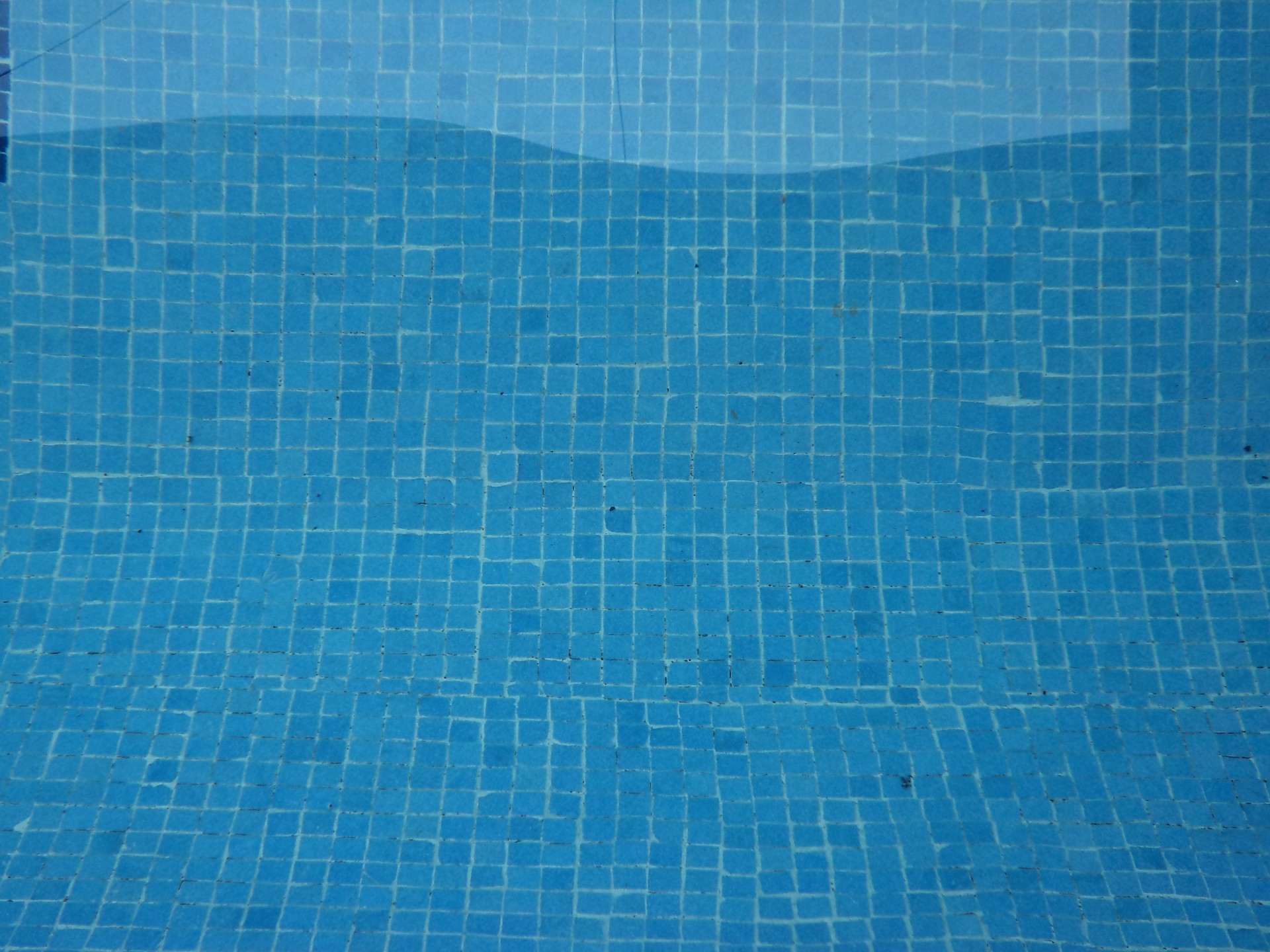 Swimming Pool Free Stock Photo - Public Domain Pictures