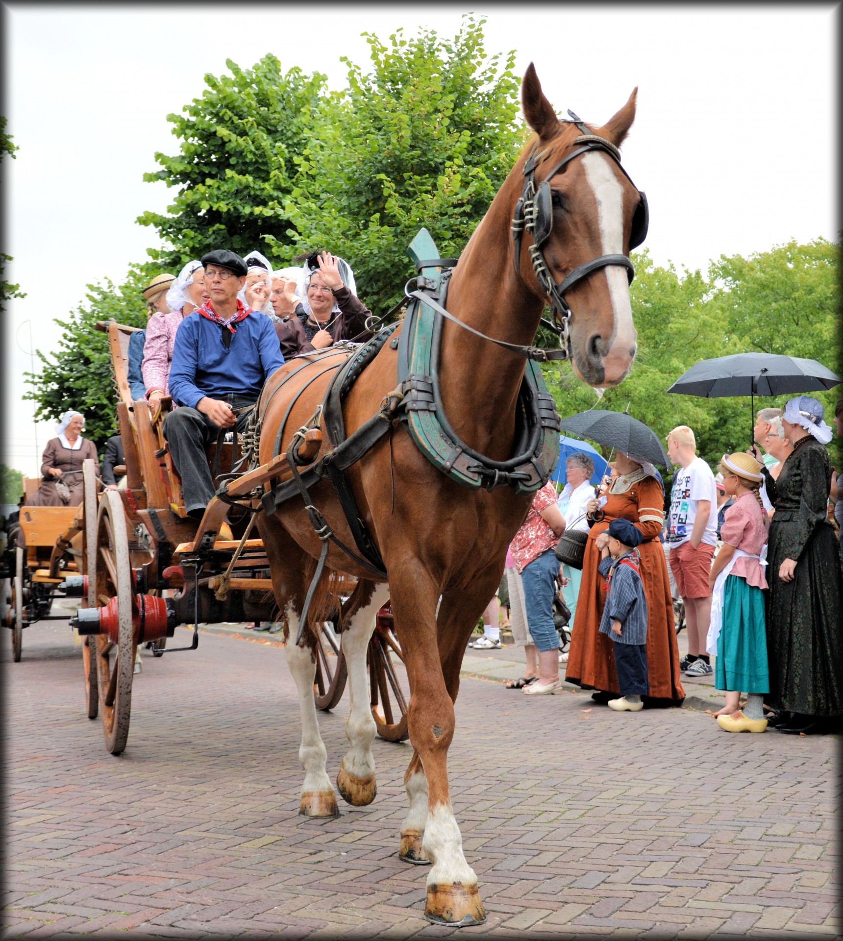 Dutch Authentic Carriages 03 Free Stock Photo - Public Domain Pictures