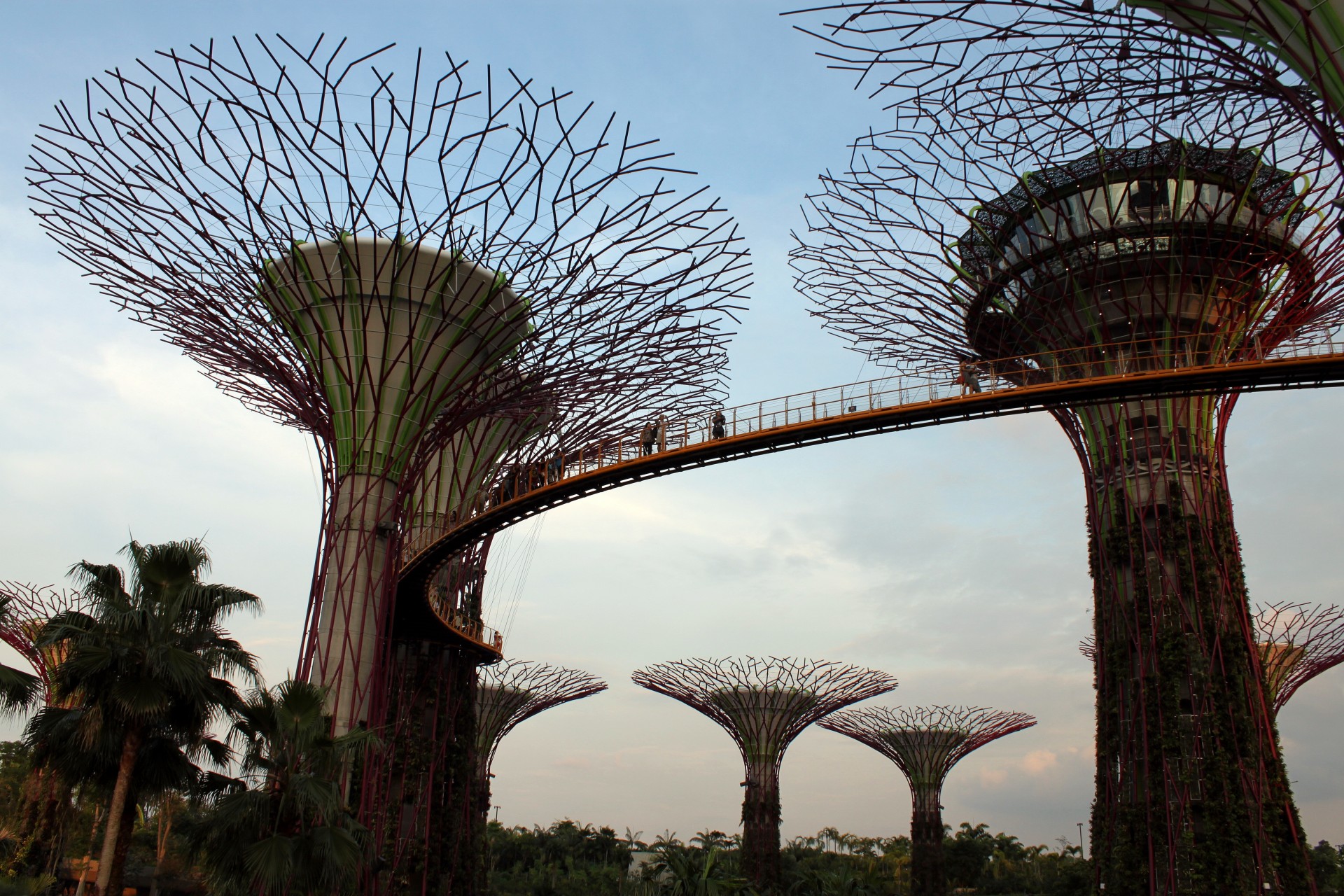 Singapore Sky Tree Free Stock Photo - Public Domain Pictures