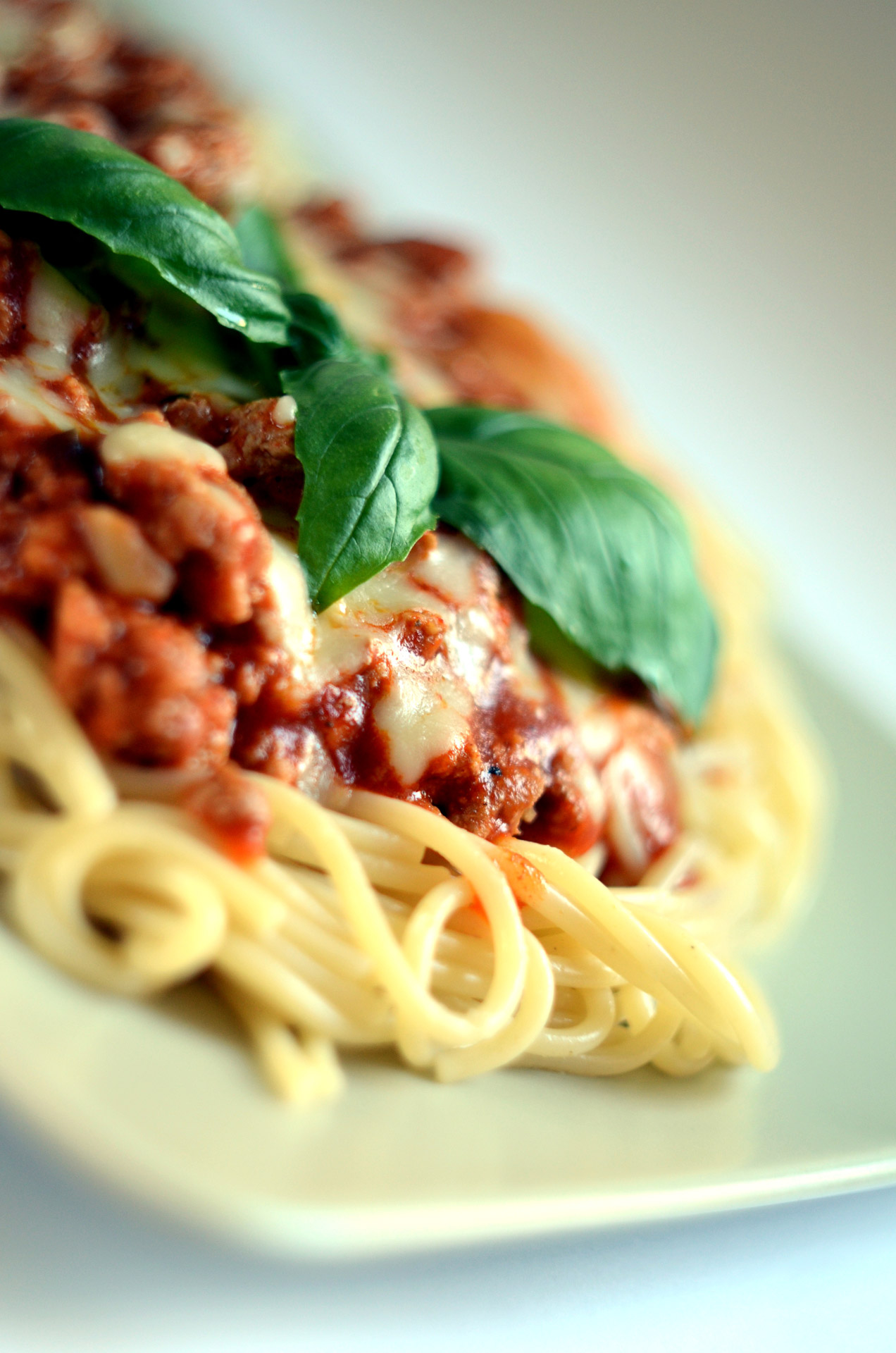 Spaghetti Bolognese Free Stock Photo - Public Domain Pictures