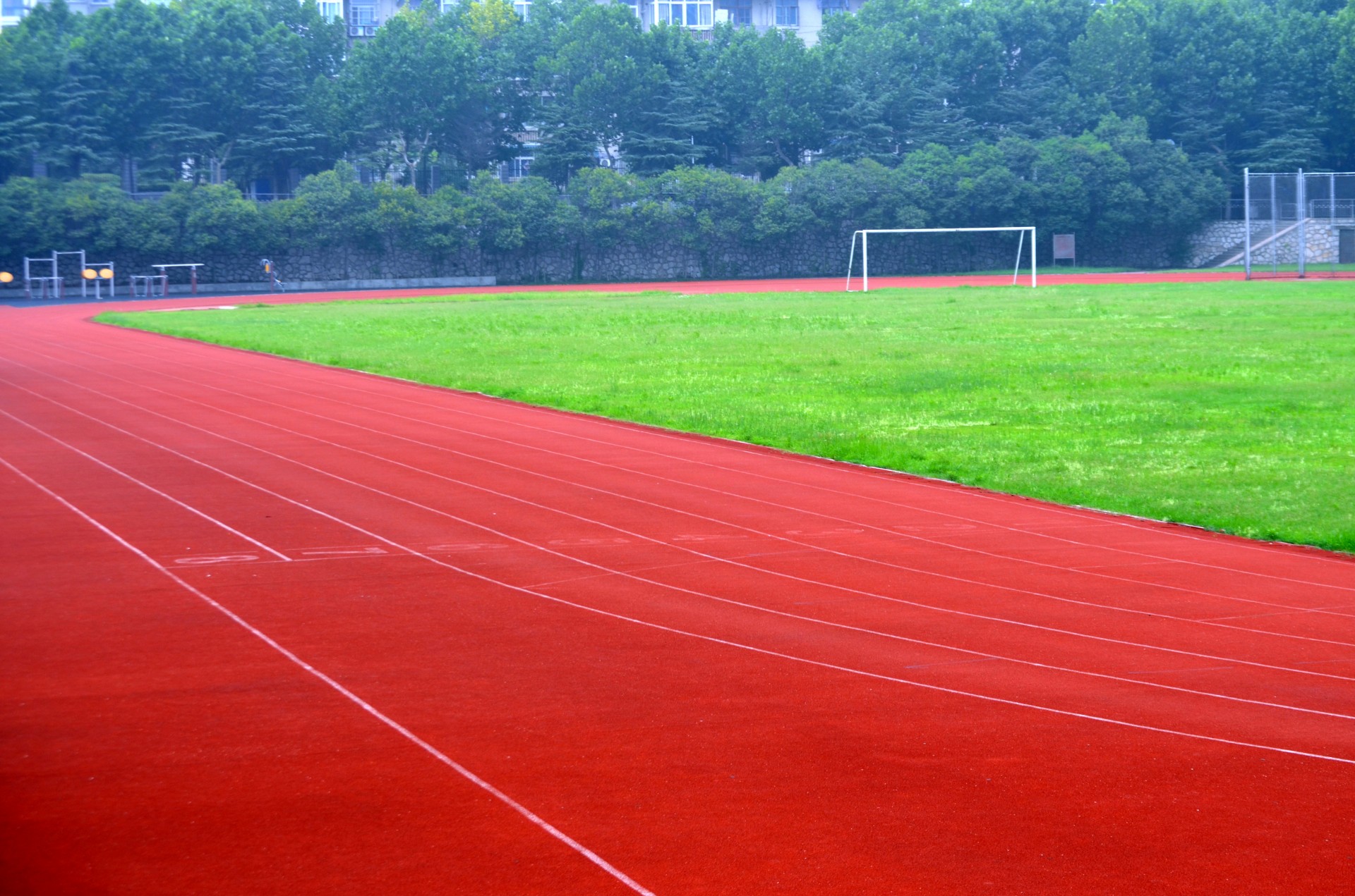sports-field-free-stock-photo-public-domain-pictures