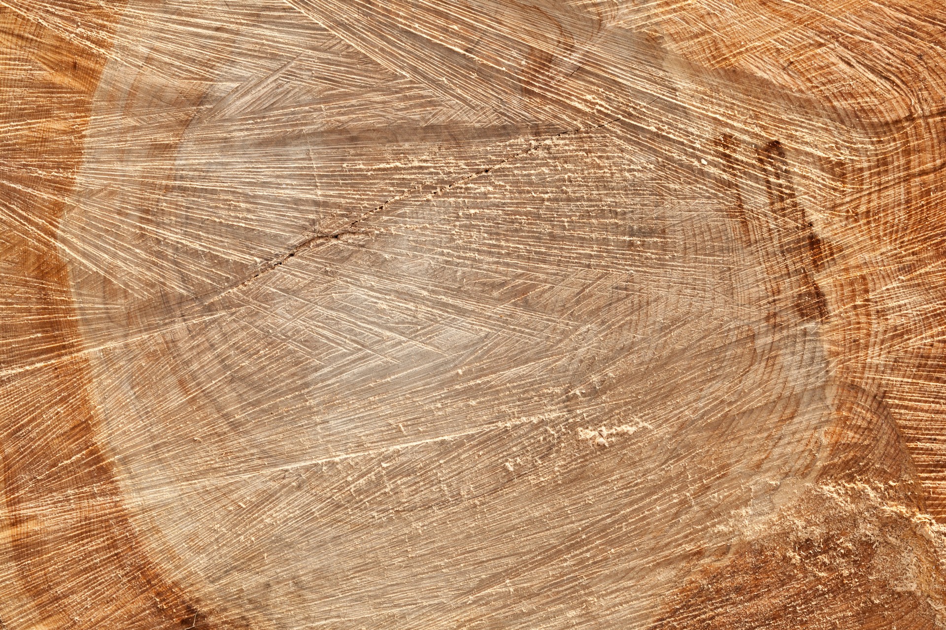 wood-cut-with-a-chainsaw-free-stock-photo-public-domain-pictures