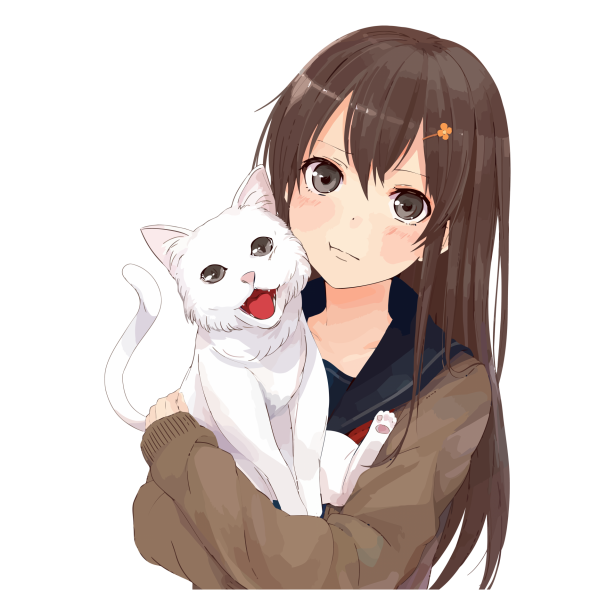 Anime Katze Und Mädchen Kostenloses Stock Bild Public Domain Pictures