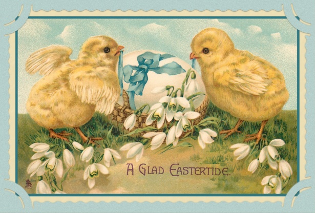 vintage-easter-chicks-card-1677756706pZC