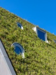 Green Roof House