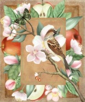 Vintage Apple Bird Ilustrace