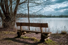 Landscape, bench, pond, nature