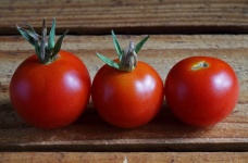 Three Ripe Red Homegrown Tomatoes
