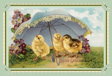 Vintage Easter Chicks Card