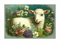 Vintage Art Sheep Lamb