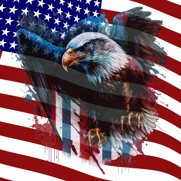 Águila de la bandera americana Stock de Foto gratis - Public Domain Pictures