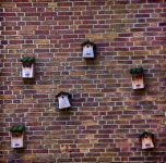 Birdhouses On Brick Wall