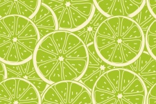 Lime Fruit Slices Background