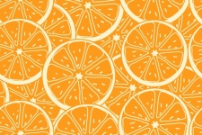 Orange Fruit Slices Background