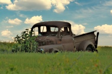 Rusty Old Truck in Field