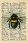 Página do Dicionário Vintage Bee