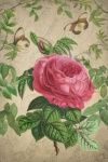 Vintage Blumen Kunst Illustration