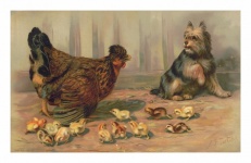 Câine de găini de artă vintage
