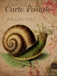 Vintage Snail Floral Postcard