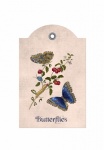 Vintage viktoriánus pillangó címke
