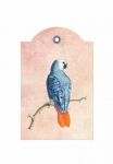 Vintage viktoriánus papagáj címke