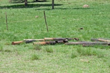 Wooden posts on a grassy area