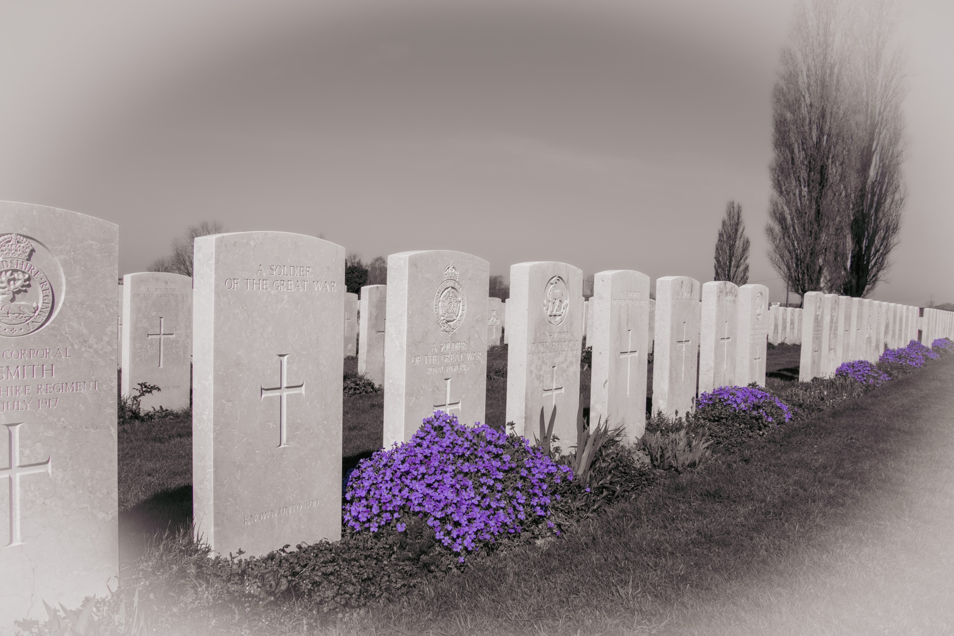 graveyard-military-cemetery-free-stock-photo-public-domain-pictures