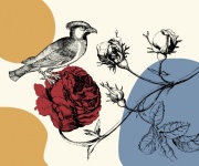 Bird Rose Abstract Art