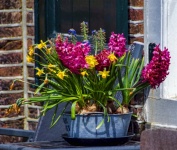 Flowers in a tin planter