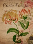 Vintage Floral Honeysuckle Postcard