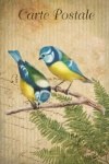Uccelli da cartolina d'arte vintage