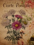 Vintage Postage Floral Flowers