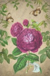Винтажная открытка цветок розы