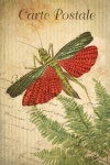 Vintage pohlednice hmyz kobylka