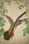 Винтажная открытка колибри