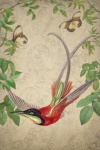Винтажная открытка колибри