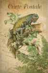 Vintage postcard iguana reptiles