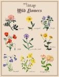 Vintage Wildflowers Poster
