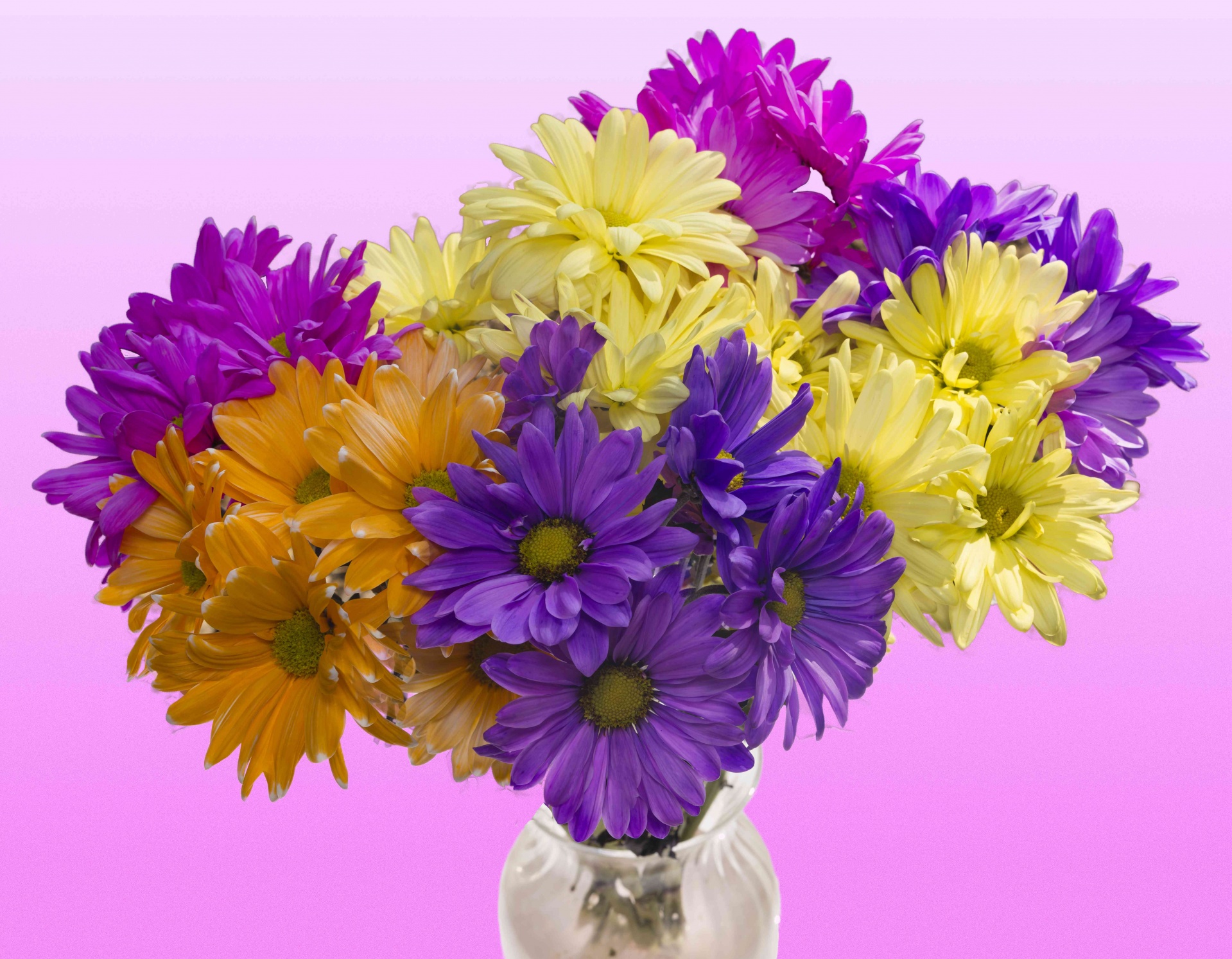 Colorful Flower Bouquet Free Stock Photo - Public Domain Pictures