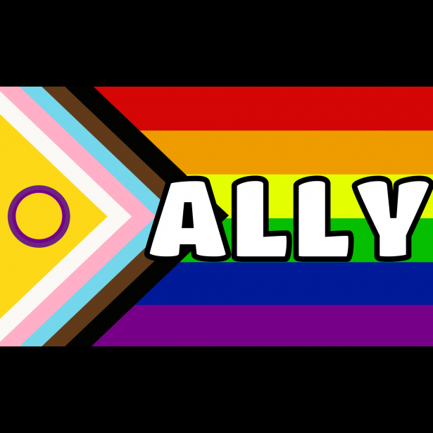 Gay Pride Ally Inclusive Flag Free Stock Photo - Public Domain Pictures