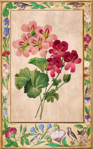 Vintage Floral Art Illustration Free Stock Photo - Public Domain Pictures