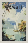 Hawaii vintage reseaffisch