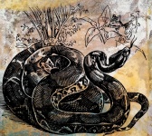 старинный выгравированный рисунок змеи