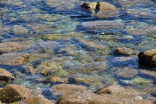 L'eau de mer sur les rochers moussus