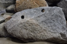 Pareidolia Rock Face