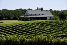 Wijngaard in Georgia, VS