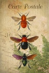 Abelhas de abelhas de arte vintage