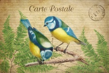 Oiseaux mésange bleue d'art vintage