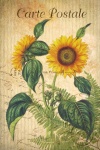 Vintage art floral sunflower