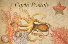 Vintage art postcard octopus